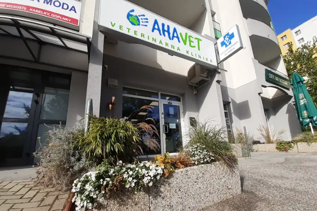 Veterinárna klinika AHAVET Veterinárna klinika AHAVET